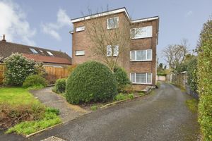 Photo 3- click for photo gallery